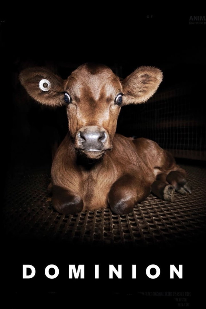 Dominion i gruppen Alla filmer hos Mohamad shop (472796)