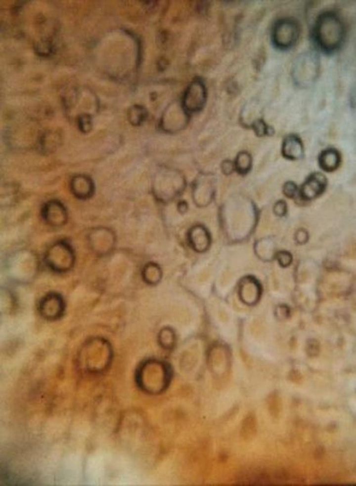 Migration i gruppen Alla filmer hos Mohamad shop (473603)