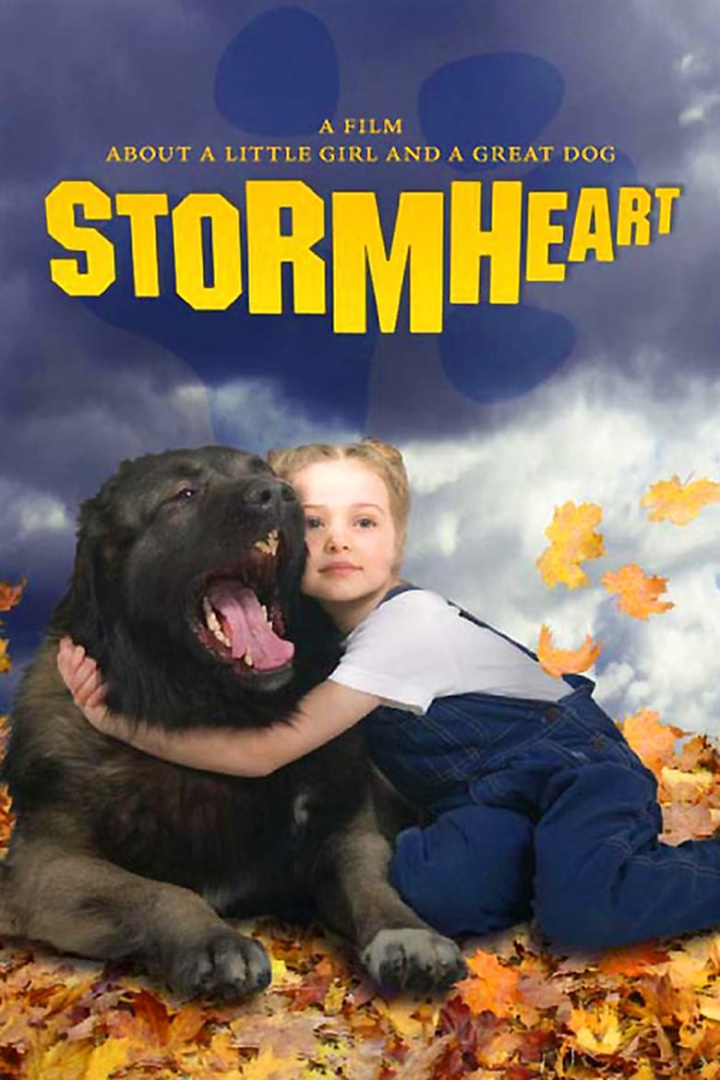 Stormheart i gruppen Alla filmer hos Mohamad shop (47365)