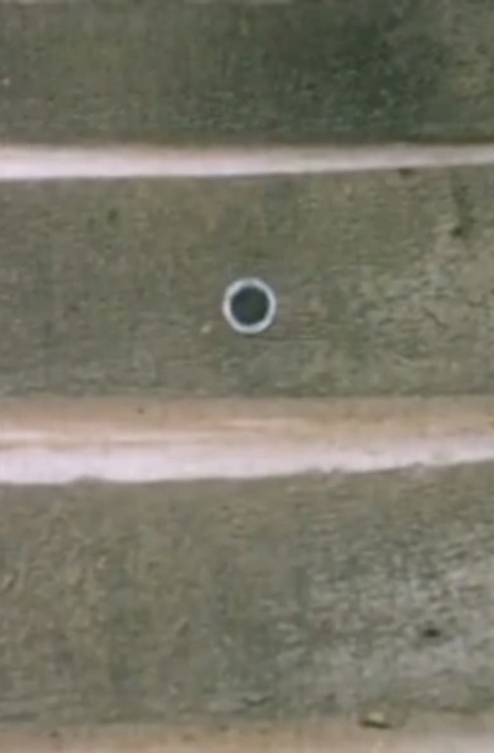 La Escala i gruppen Alla filmer hos Mohamad shop (473777)