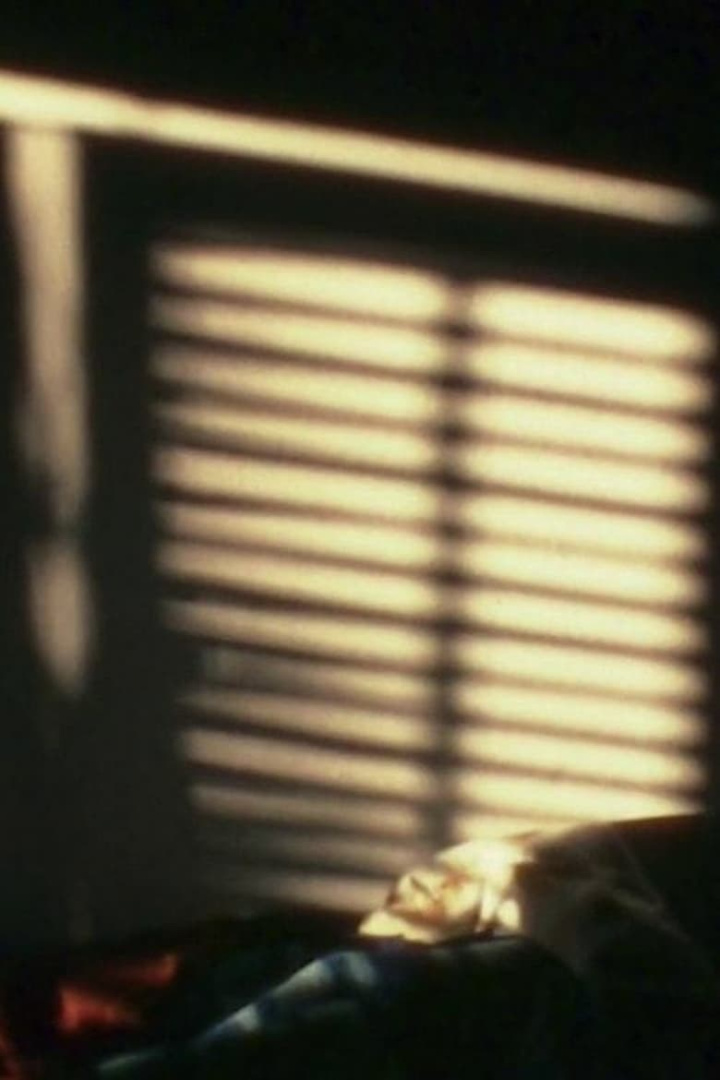 Fragments i gruppen Alla filmer hos Mohamad shop (474138)