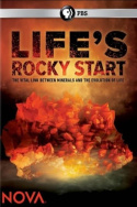 Life\'s Rocky Start