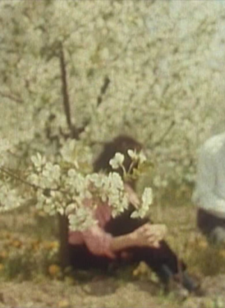 Bärbel and Charly i gruppen Alla filmer hos Mohamad shop (474428)