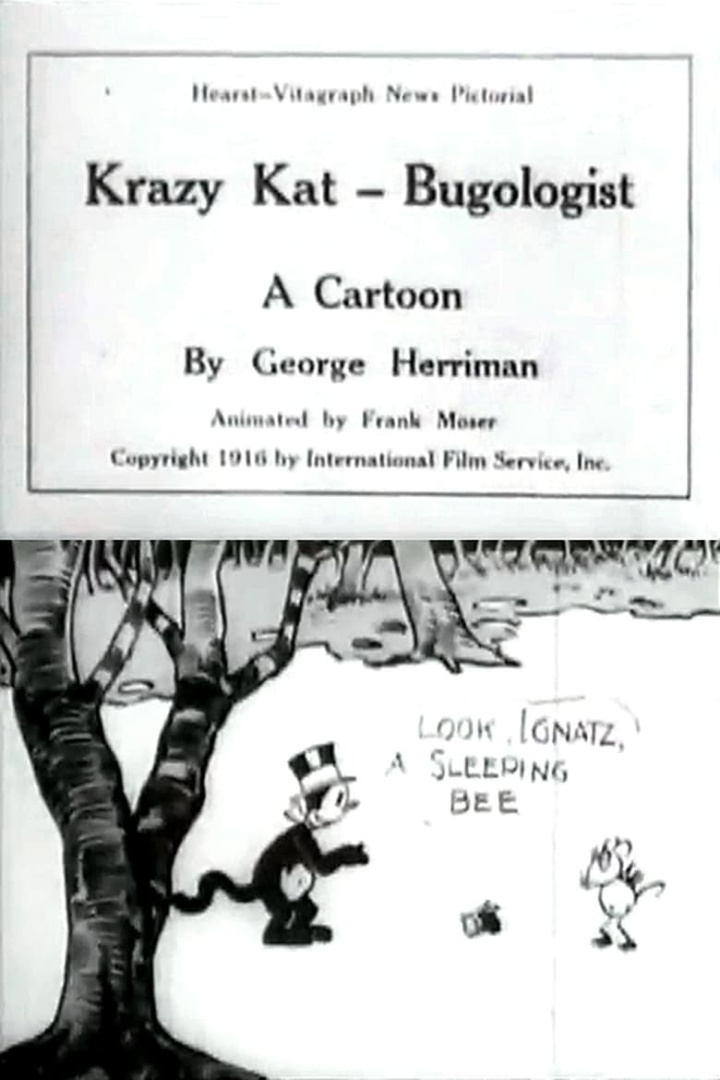Krazy Kat, Bugologist i gruppen Alla filmer hos Mohamad shop (47457)