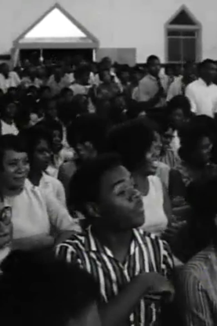 Black Natchez i gruppen Alla filmer hos Mohamad shop (474747)