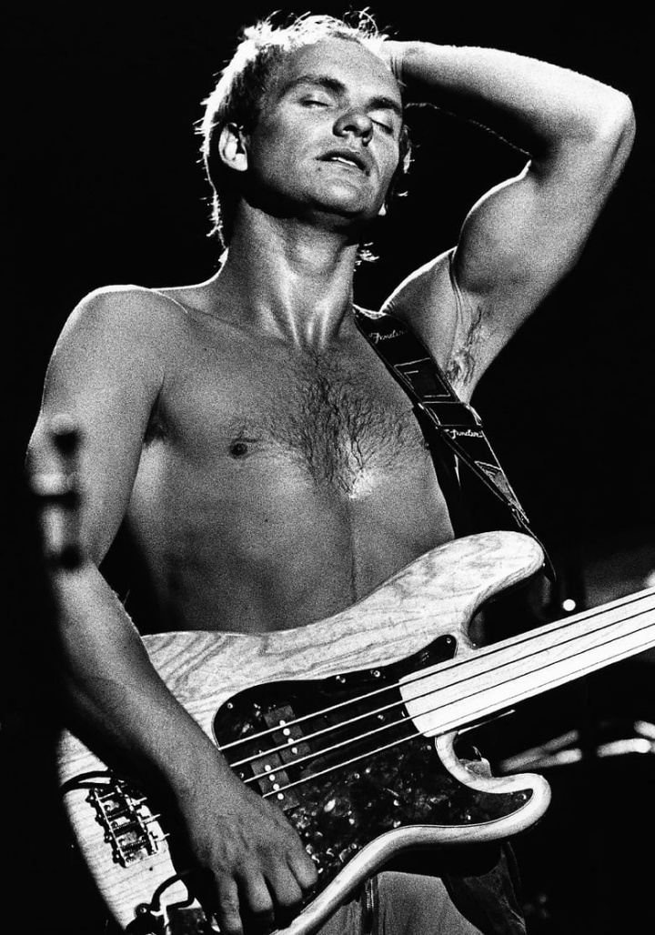 Sting: Beyond The Police i gruppen Alla filmer hos Mohamad shop (474784)