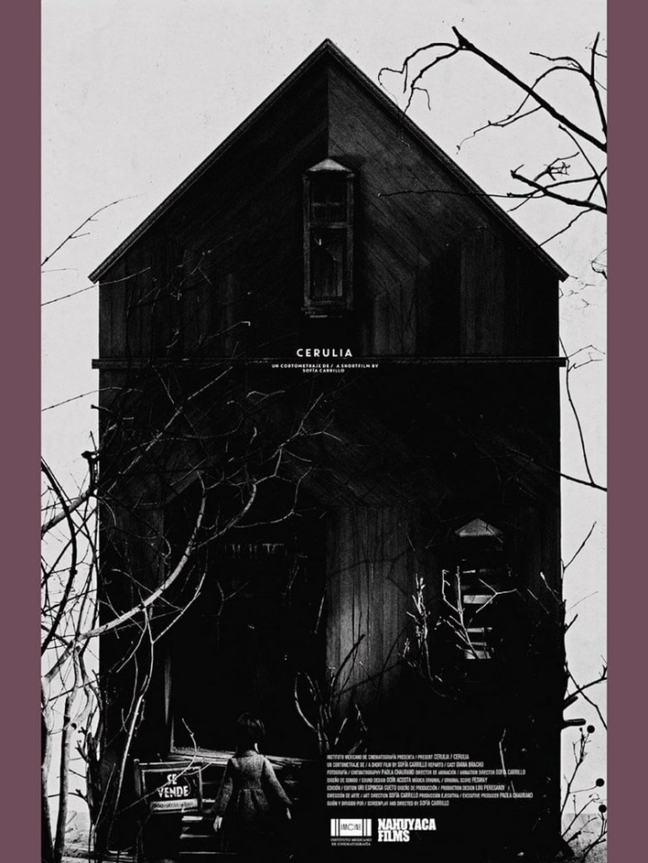 Cerulia i gruppen Alla filmer hos Mohamad shop (475254)