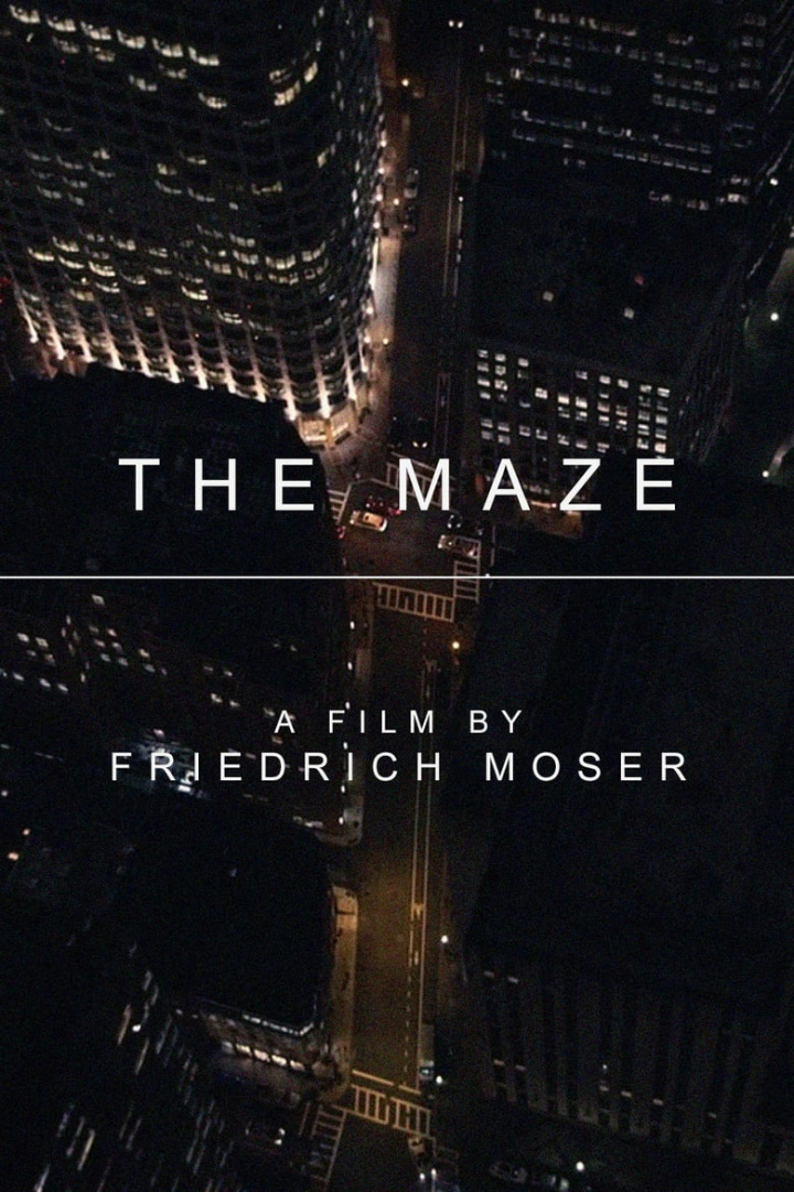The Maze i gruppen Alla filmer hos Mohamad shop (475562)