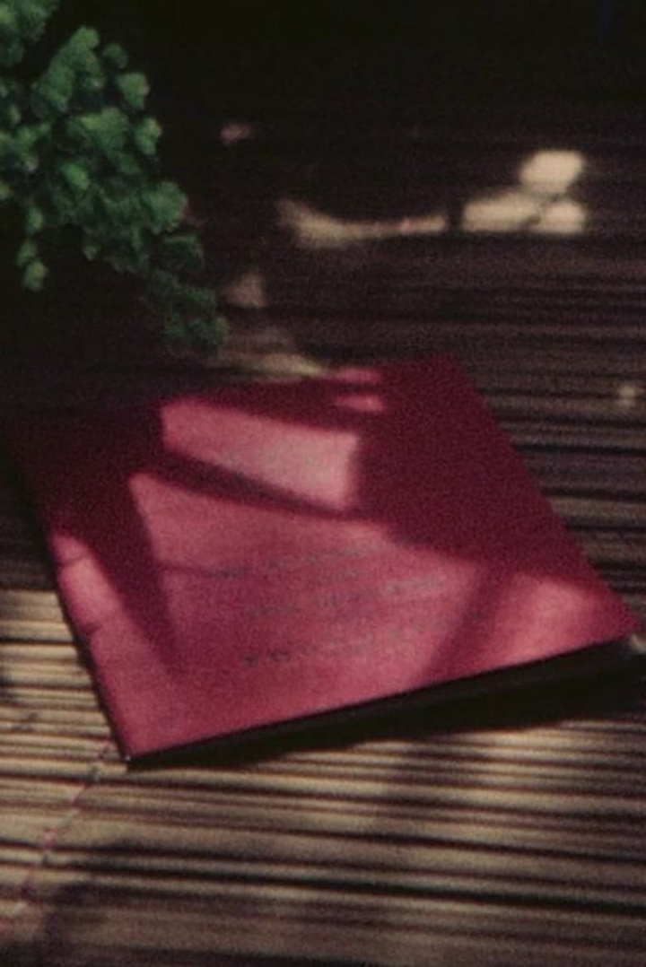 Vadi-Samvadi i gruppen Alla filmer hos Mohamad shop (475607)