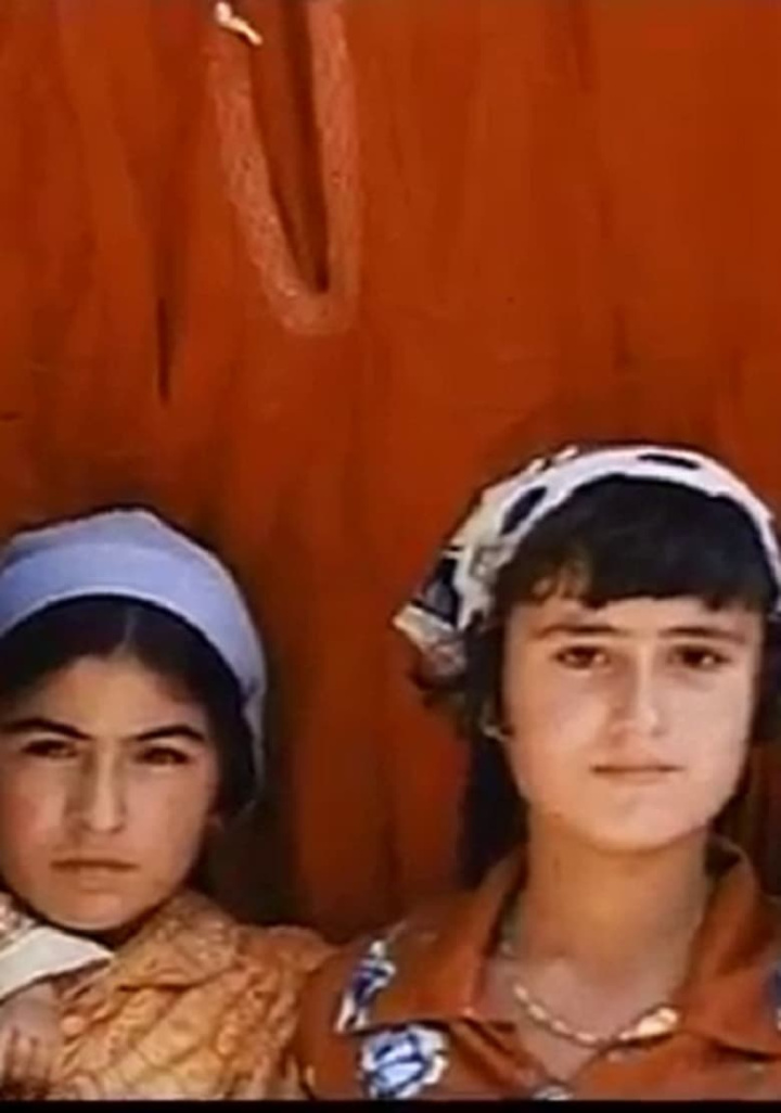 Cereals i gruppen Alla filmer hos Mohamad shop (475892)