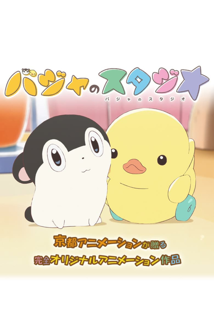 Baja\'s Studio i gruppen Alla filmer hos Mohamad shop (475997)