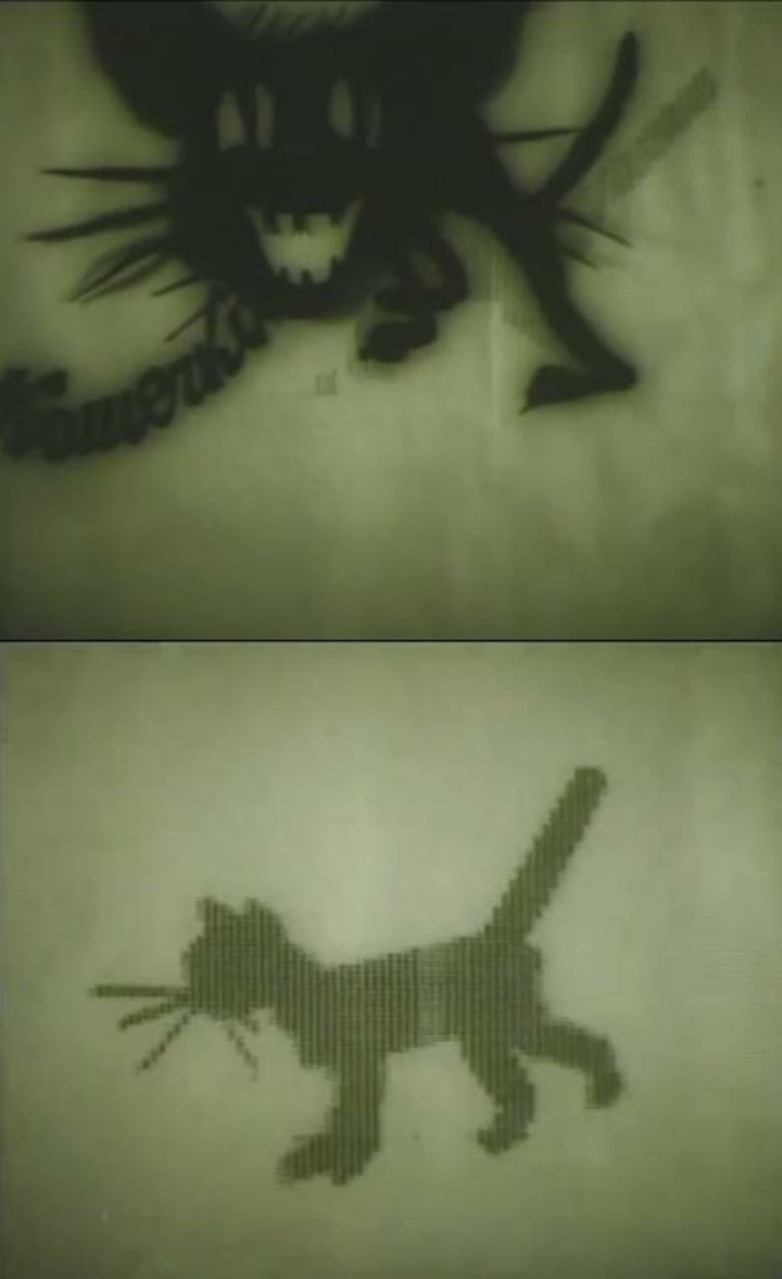 Kitten i gruppen Alla filmer hos Mohamad shop (476483)