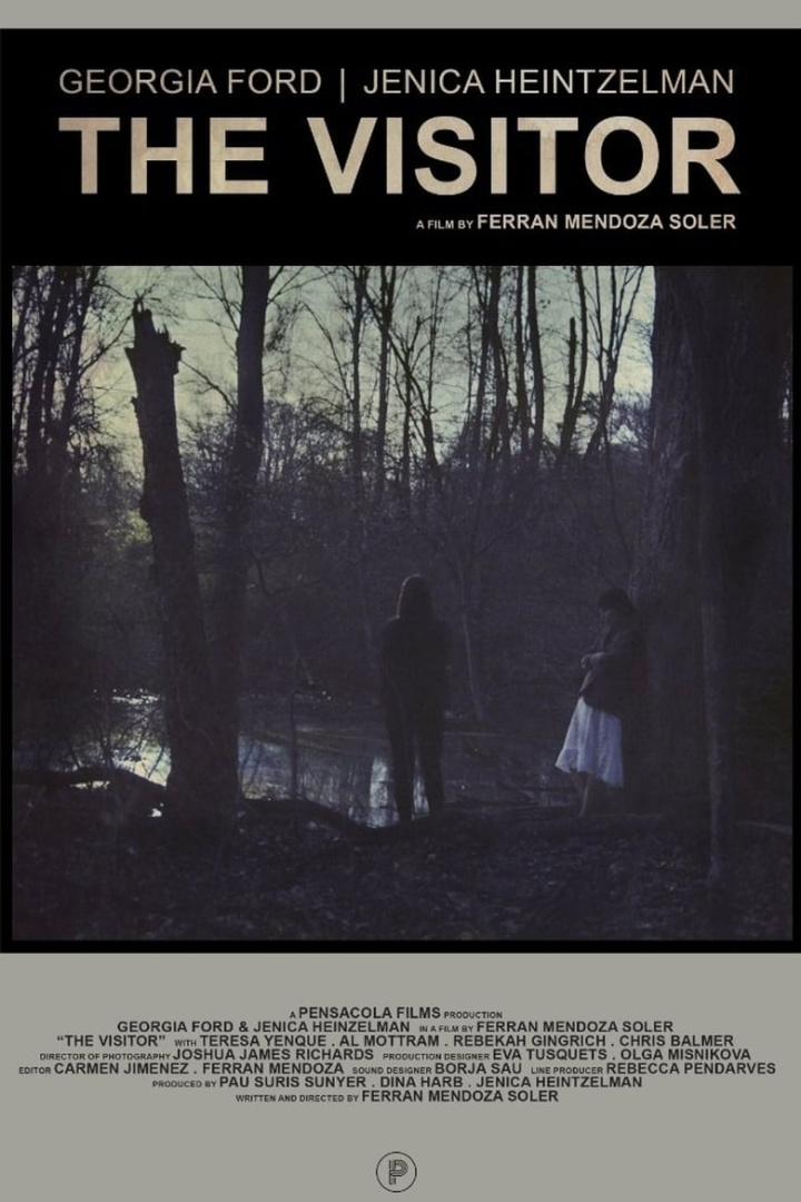 The Visitor i gruppen Alla filmer hos Mohamad shop (476898)