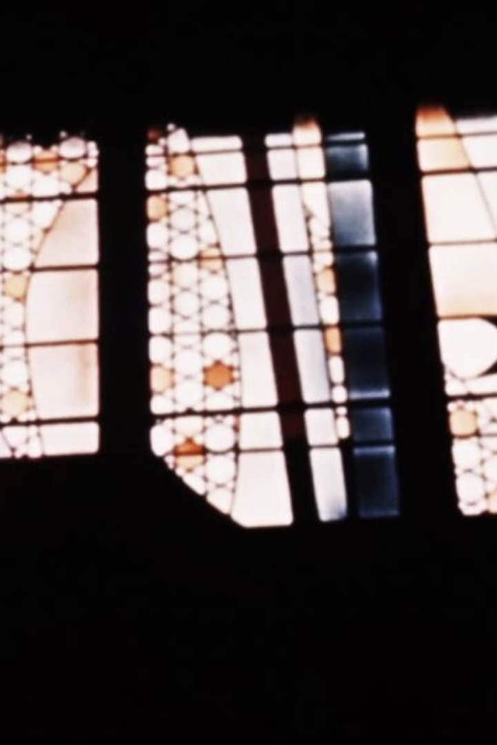 Brussels Loops i gruppen Alla filmer hos Mohamad shop (477267)