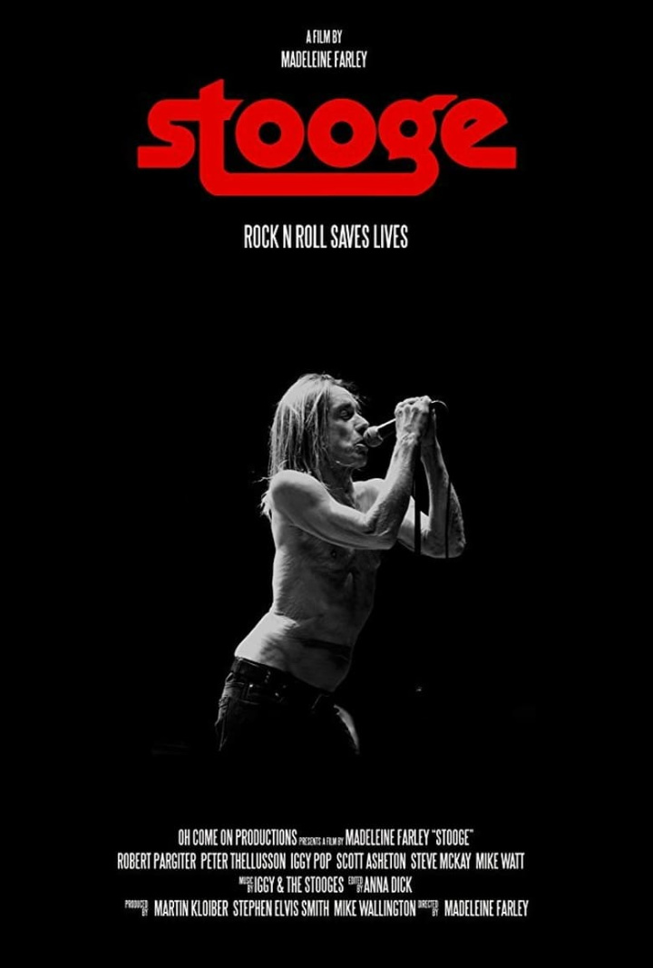 Stooge i gruppen Alla filmer hos Mohamad shop (477498)