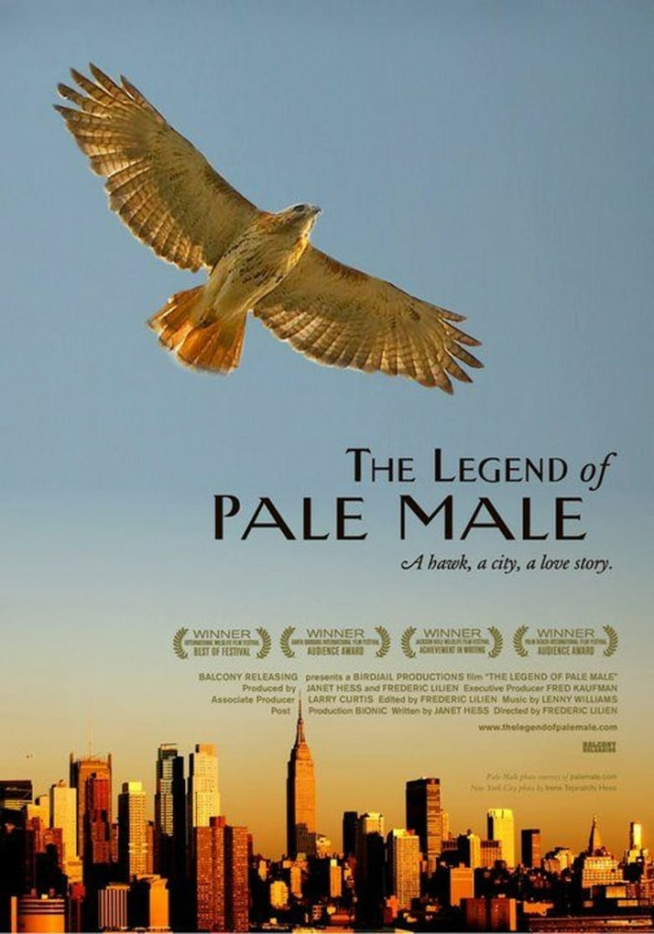 The Legend of Pale Male i gruppen Alla filmer hos Mohamad shop (47750)