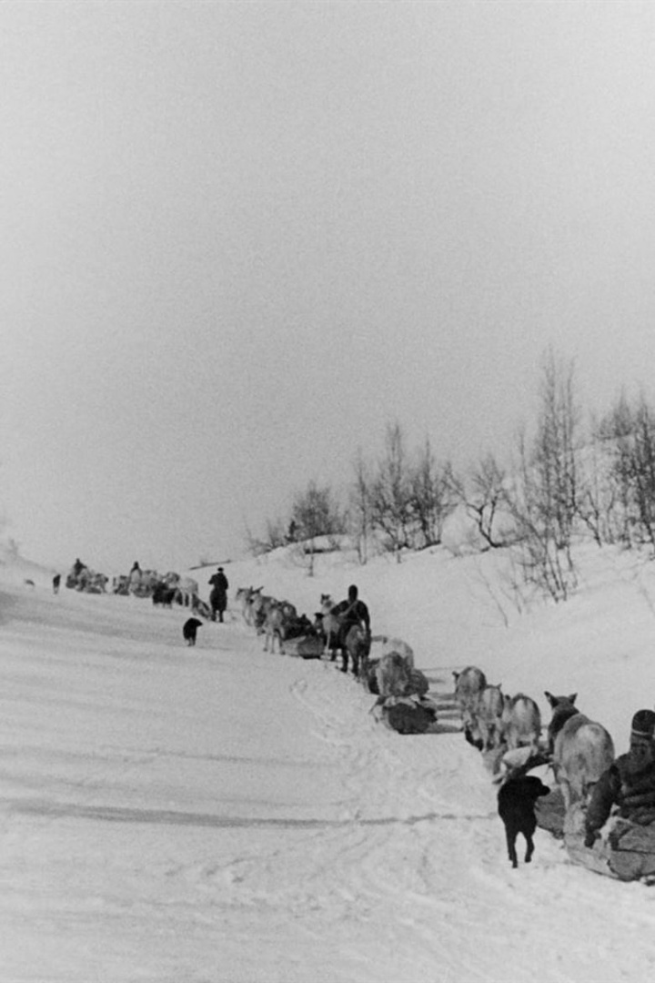 Från vinterviste till sommarfjäll i gruppen Alla filmer hos Mohamad shop (477833)