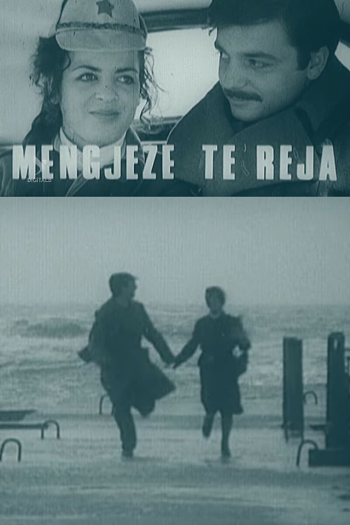 New Mornings i gruppen Alla filmer hos Mohamad shop (477834)