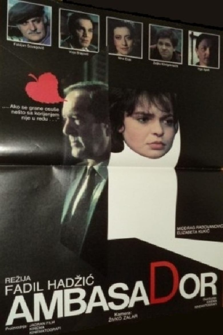 The Ambassador i gruppen Alla filmer hos Mohamad shop (478056)