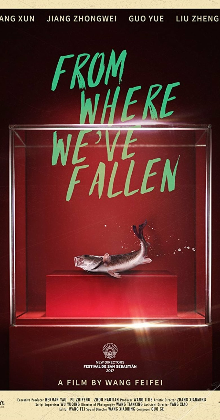 From Where We\'ve Fallen i gruppen Alla filmer hos Mohamad shop (478197)