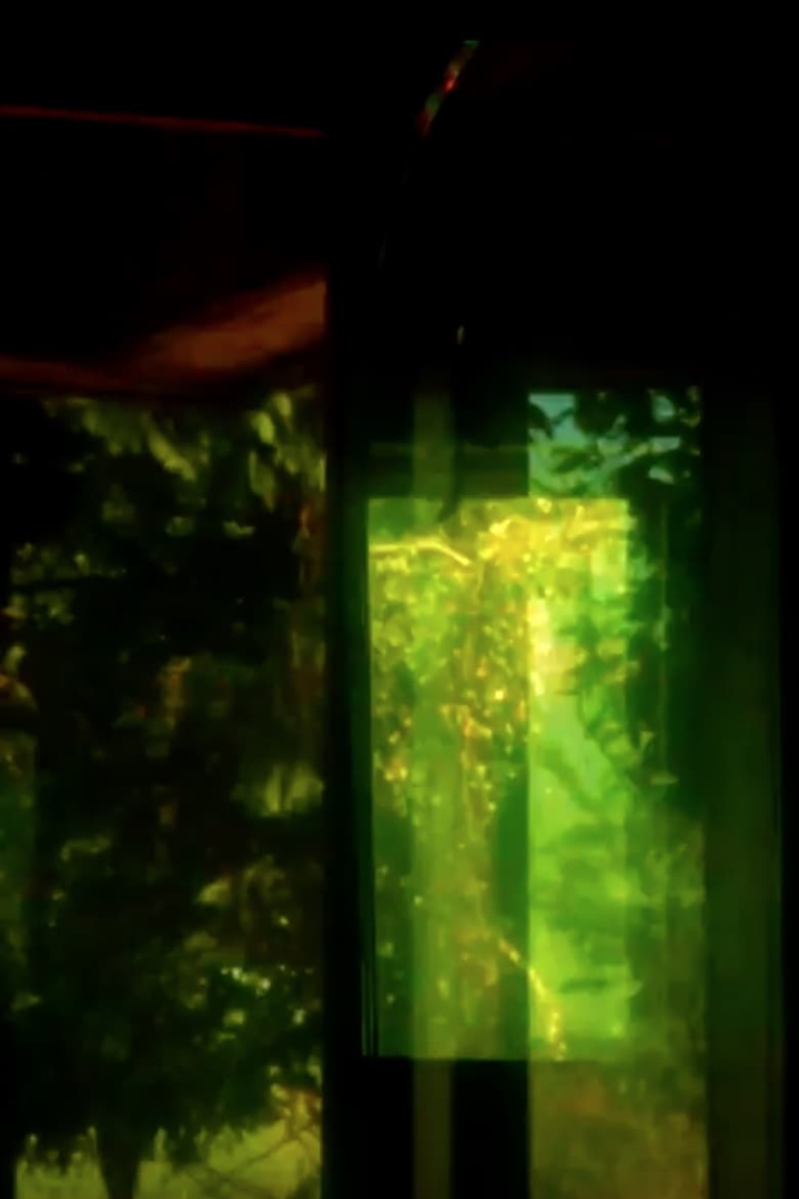 Idizwadidiz i gruppen Alla filmer hos Mohamad shop (478240)