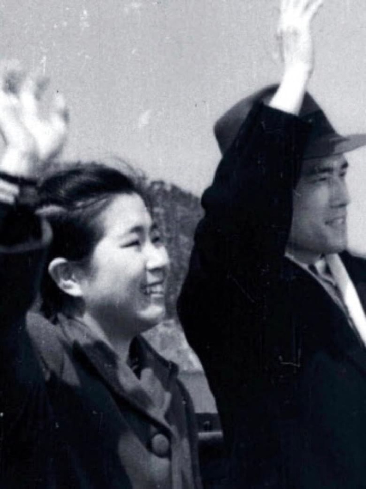 A Sea Gull i gruppen Alla filmer hos Mohamad shop (478263)