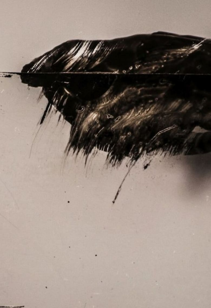 Trip i gruppen Alla filmer hos Mohamad shop (478349)