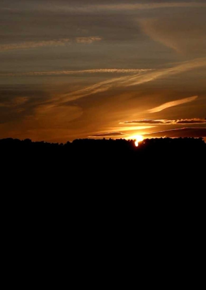 The Rains i gruppen Alla filmer hos Mohamad shop (478370)