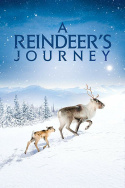 A Reindeer\'s Journey