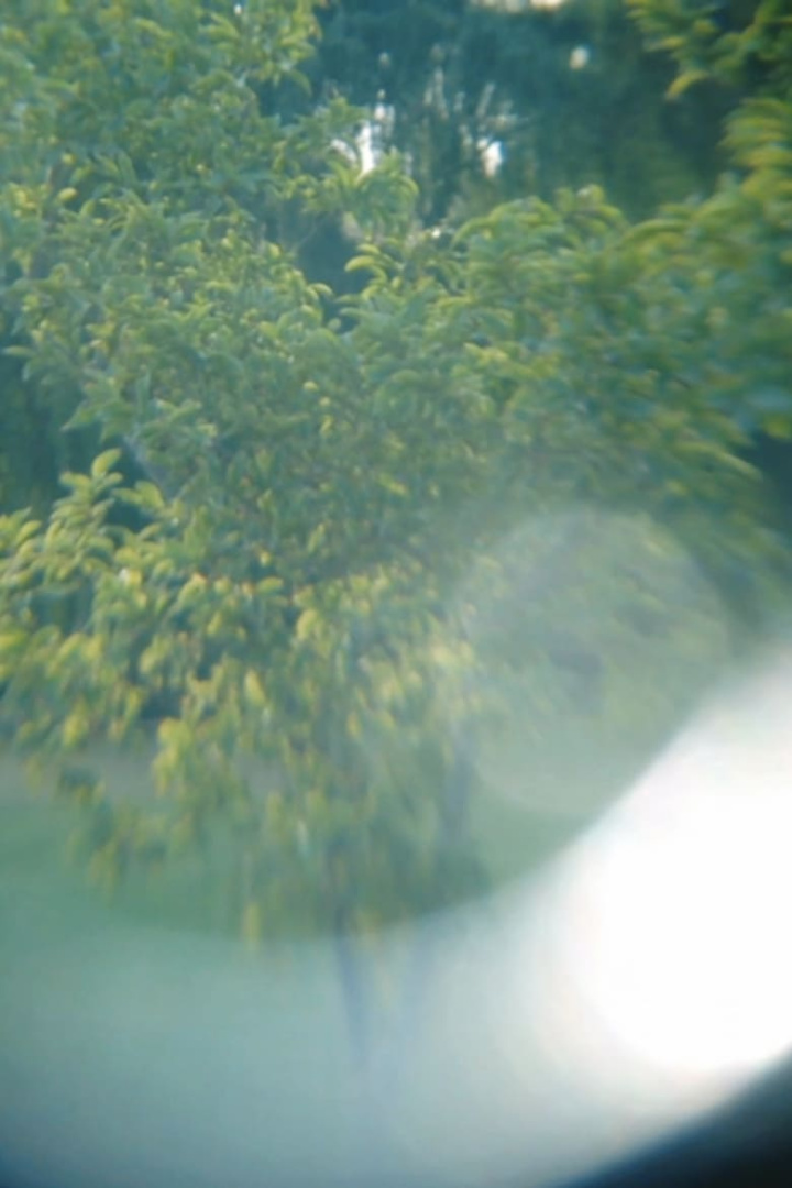 The Labyrinth i gruppen Alla filmer hos Mohamad shop (478589)