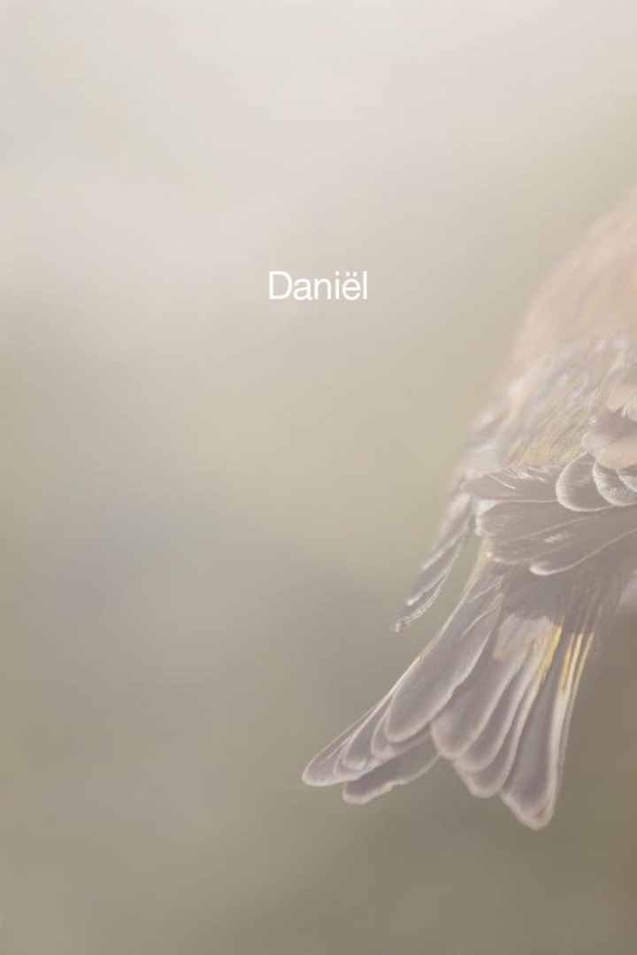 Daniël i gruppen Alla filmer hos Mohamad shop (478871)