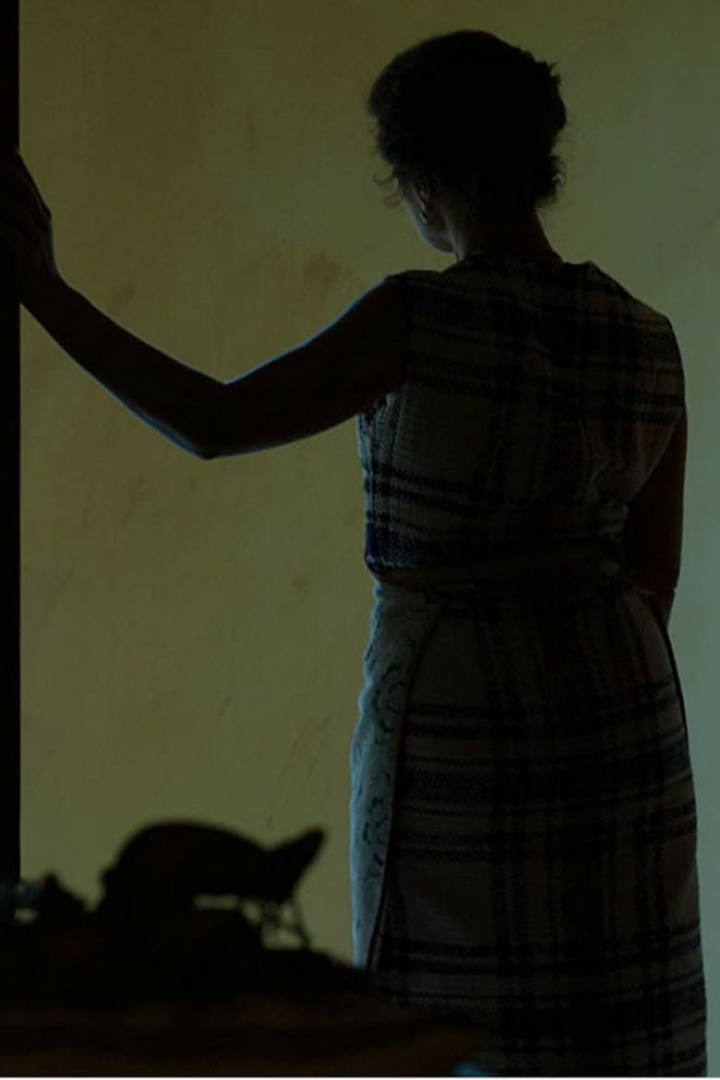 Tamed i gruppen Alla filmer hos Mohamad shop (479206)