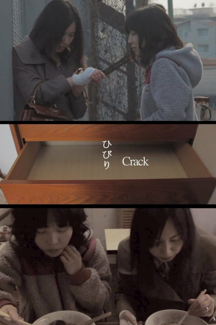 Crack i gruppen Alla filmer hos Mohamad shop (479229)