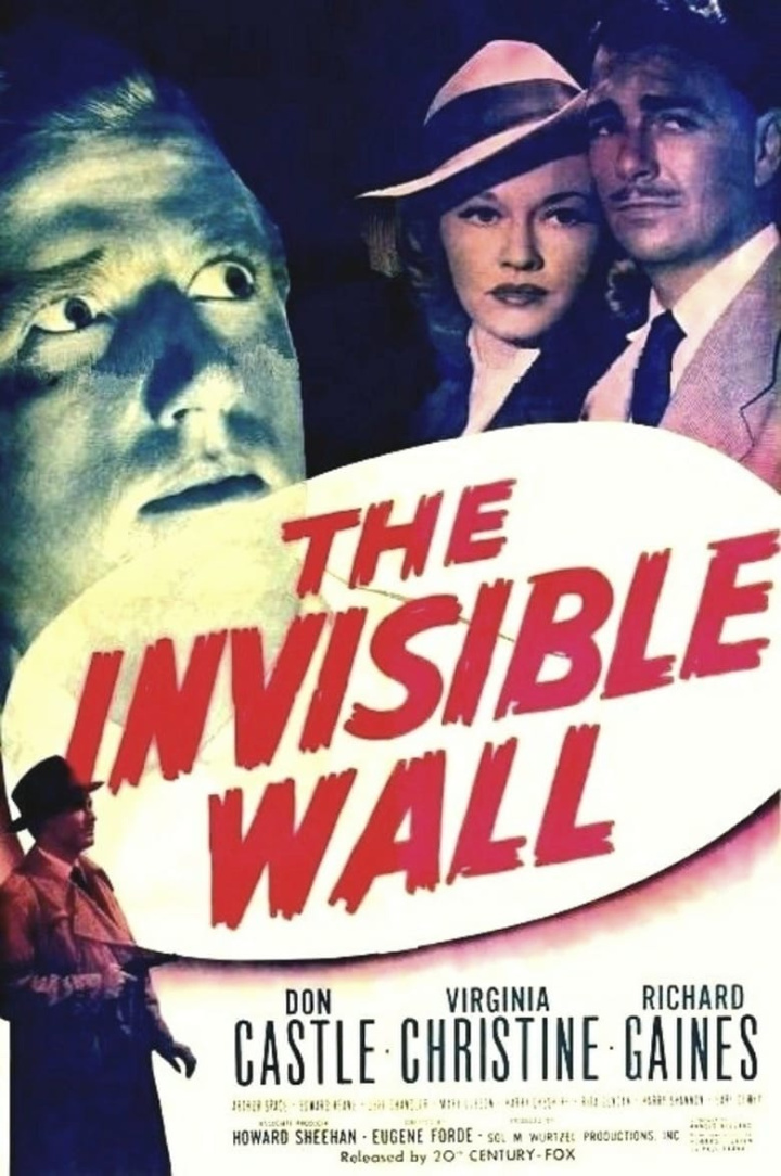 The Invisible Wall i gruppen Alla filmer hos Mohamad shop (47923)