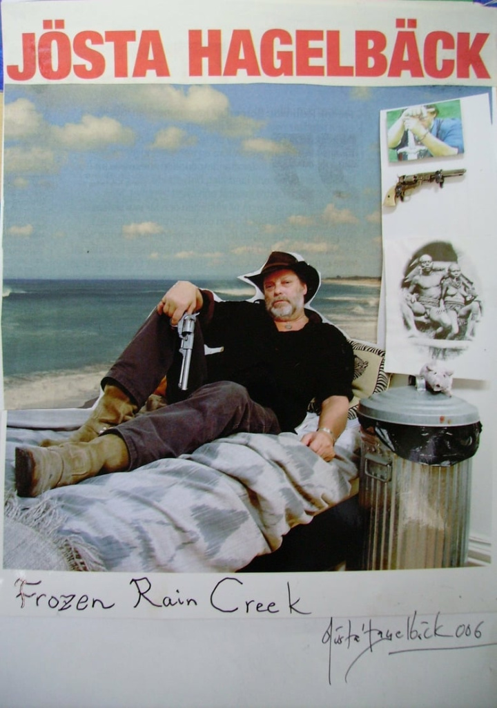 The Desperado from Kolsva i gruppen Alla filmer hos Mohamad shop (479617)