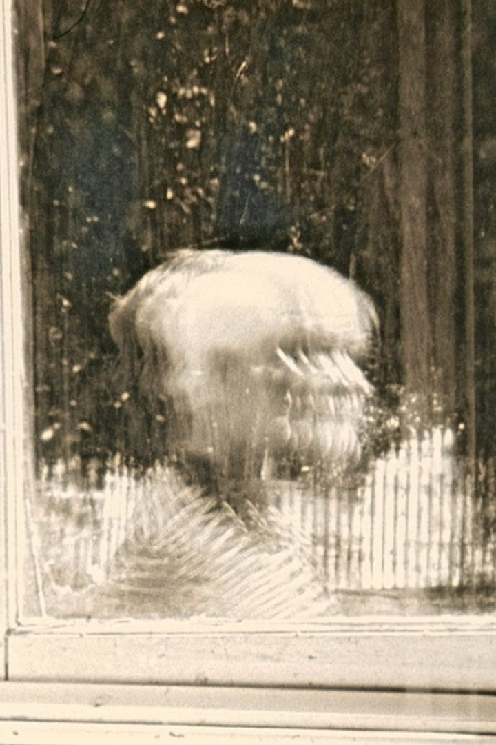 Saint Bathans Repetitions i gruppen Alla filmer hos Mohamad shop (479738)