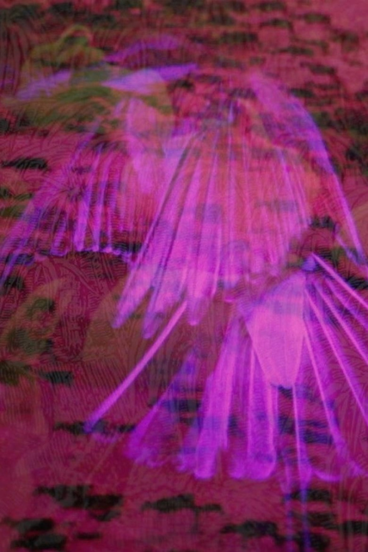 Missing In-Between the Physical Proper i gruppen Alla filmer hos Mohamad shop (479743)