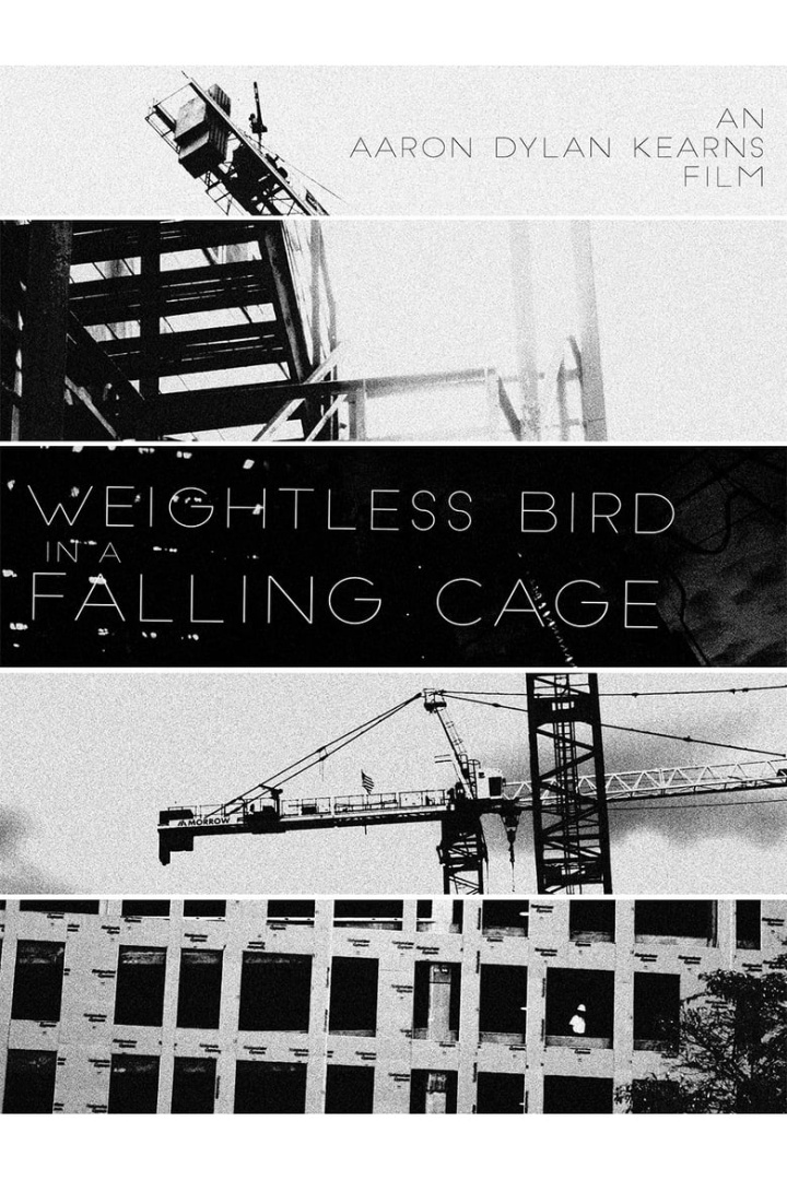 Weightless Bird In A Falling Cage i gruppen Alla filmer hos Mohamad shop (480030)