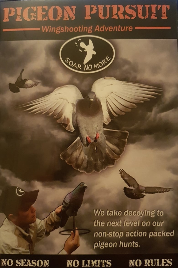 Pigeon Pursuit i gruppen Alla filmer hos Mohamad shop (480436)