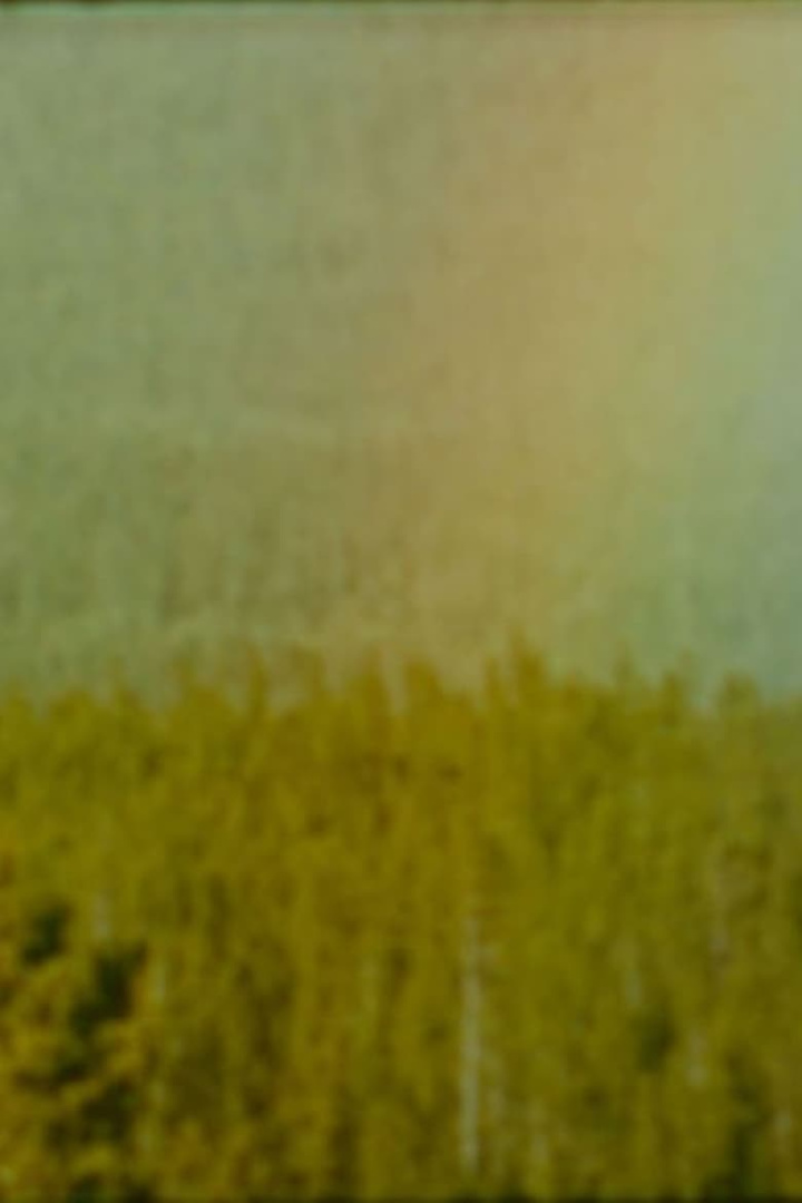 Bird i gruppen Alla filmer hos Mohamad shop (480938)