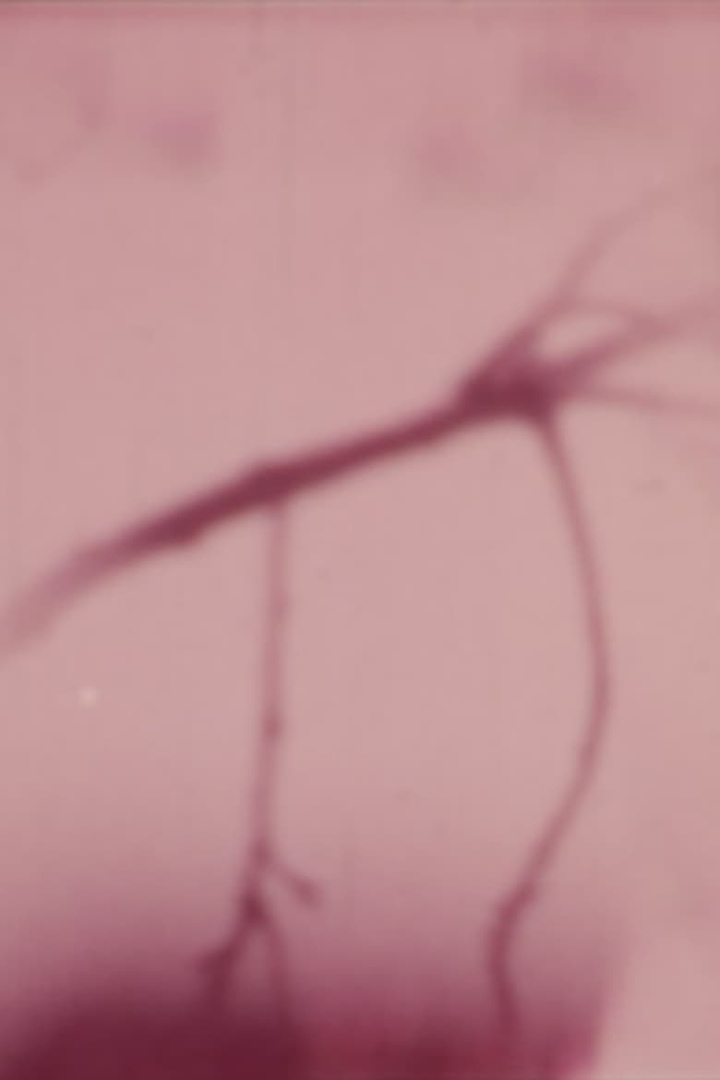 Flight i gruppen Alla filmer hos Mohamad shop (480944)