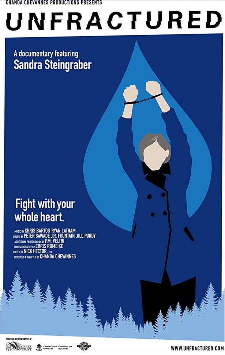 Unfractured i gruppen Alla filmer hos Mohamad shop (480971)