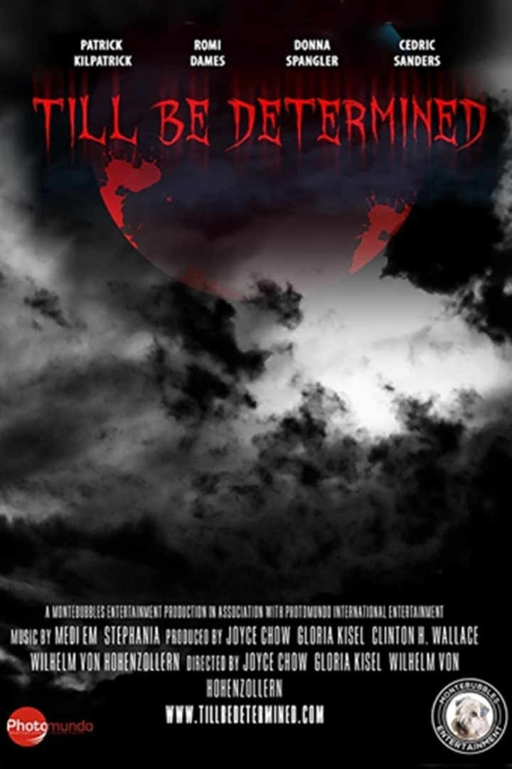 Till Be Determined i gruppen Alla filmer hos Mohamad shop (481054)