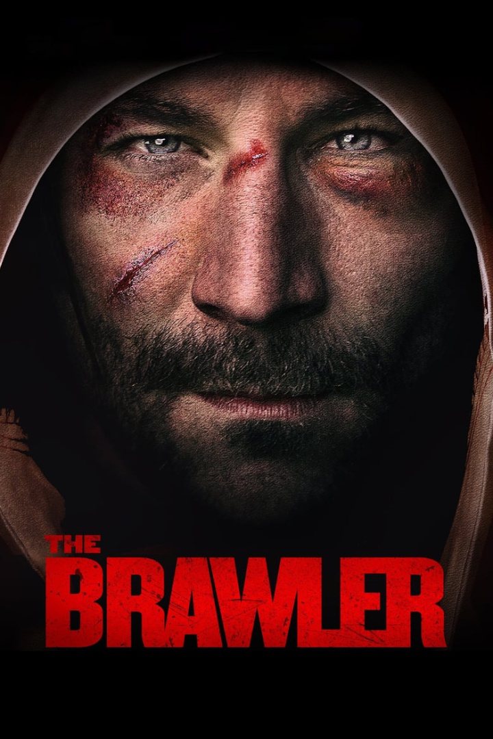 The Brawler i gruppen Alla filmer hos Mohamad shop (481117)