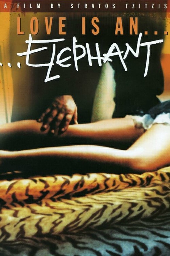 Love Is an Elephant i gruppen Alla filmer hos Mohamad shop (48117)