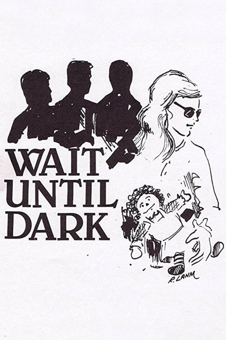 Wait Until Dark i gruppen Drama hos Mohamad shop (481304)