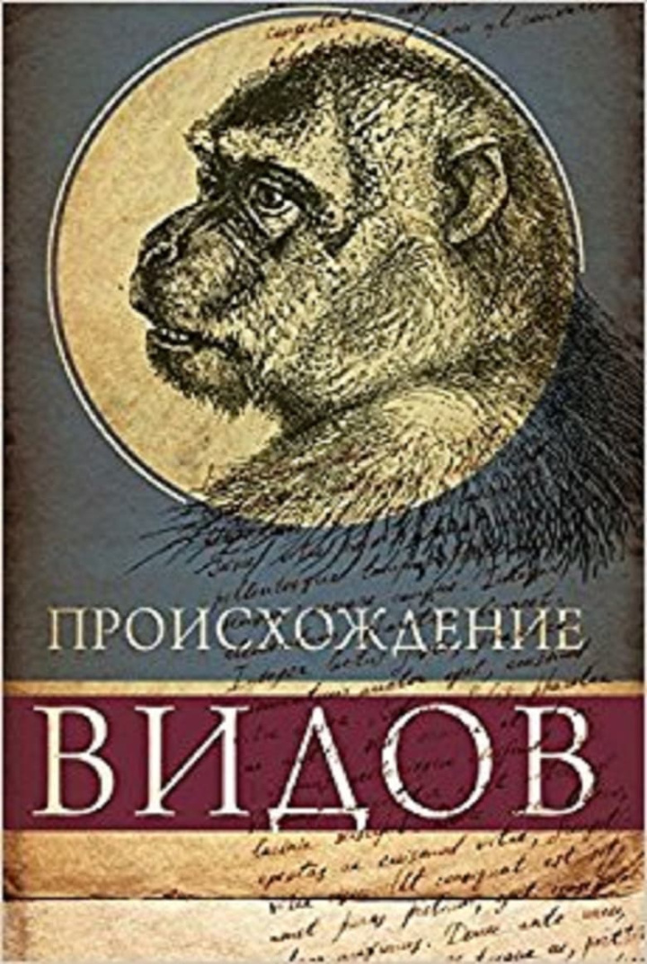 Proishozhdenie Vidov i gruppen Alla filmer hos Mohamad shop (481322)