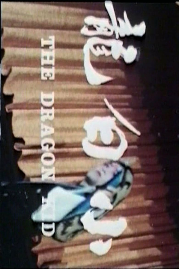 The Dragon Kid i gruppen Alla filmer hos Mohamad shop (481397)