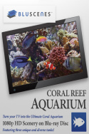 BluScenes: Coral Reef Aquarium