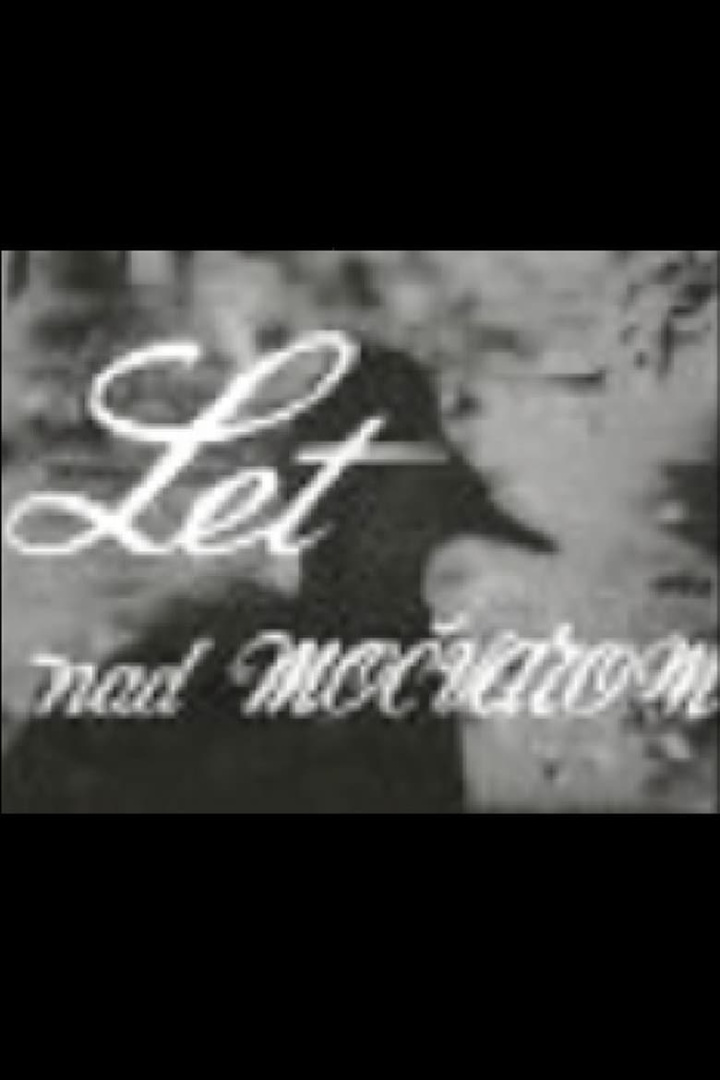 Flight Above the Marshes i gruppen Alla filmer hos Mohamad shop (482485)